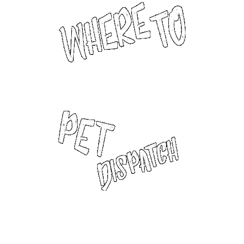 Cat Dog Sticker by WHERE TO PET ?