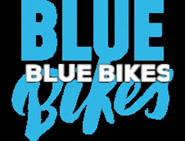 Blue Cross Blue Shield Louisiana GIF