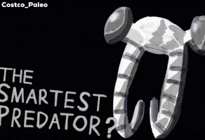 Who Is This Jurassic GIF