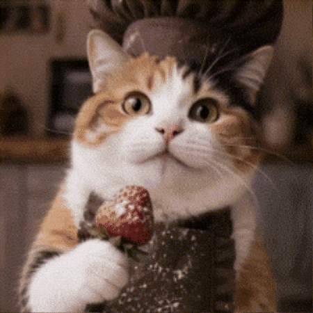 Calico Cat Dancing GIF
