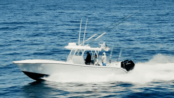 Blue Marlin America GIF by GEMLUX