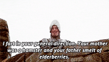 monty python the french guard GIF
