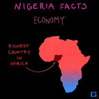 nigeria GIF by gifnews
