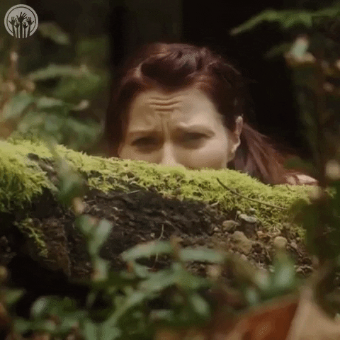 Shocked Surprise GIF by zoefannet