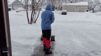 Teddy-snow GIFs - Get the best GIF on GIPHY