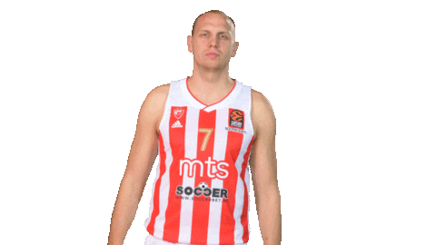 Crvena Zvezda' Sticker