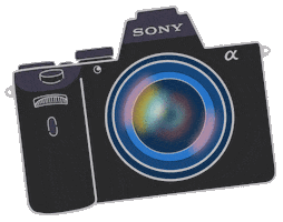 Colette Peri Sticker