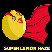 Lemon Haze GIF by Hotbox