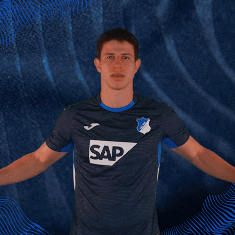 Sport Bundesliga GIF by TSG Hoffenheim