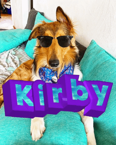 Kirbyrc GIF