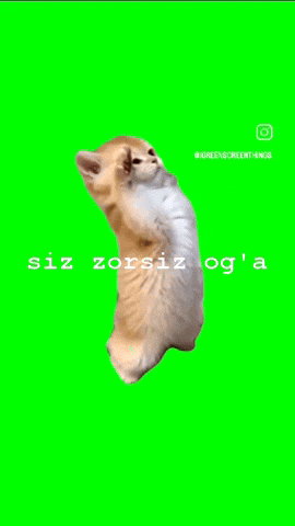 Siz Zorsiz Oga GIF