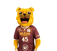 Orleansloiretbasket Sticker by OLB