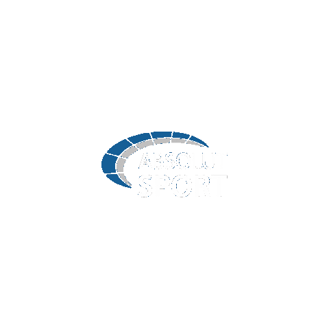 Libertadores Sticker by ABSOLUT Sport Brasil