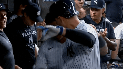 New-yor-yankees GIFs - Get the best GIF on GIPHY