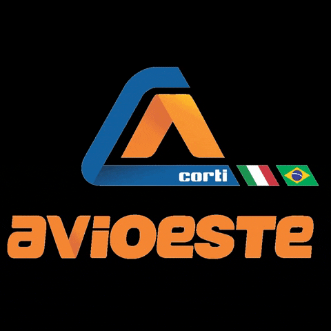 Avioeste GIF