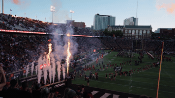 Nippert Stadium GIF by Cincinnati Bearcats