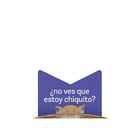 supercat_peru Sticker