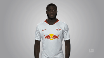 rb leipzig GIF by Bundesliga