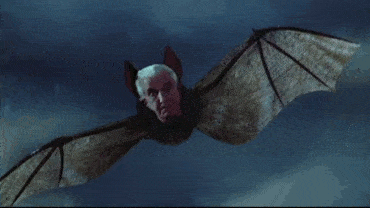 i made bat GIF