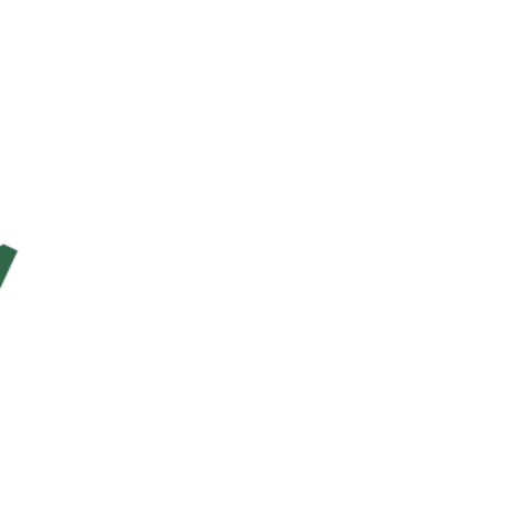 Usf Bulls Sticker by University of South Florida