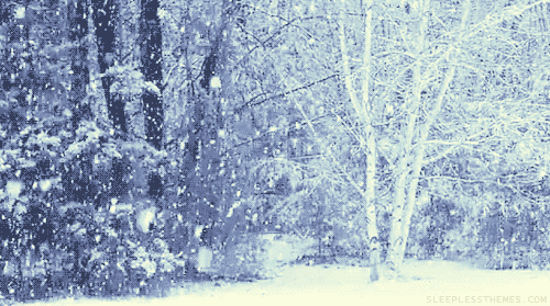 sneeuw sneeuwt GIF