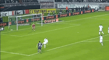 Paris Saint-Germain Psg GIF