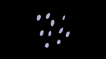 Proflora GIF