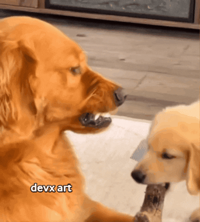 Angry Dog GIF by DevX Art
