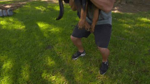 giphy.gif?cid=ecf05e47e2z99lfn29thuv90oz