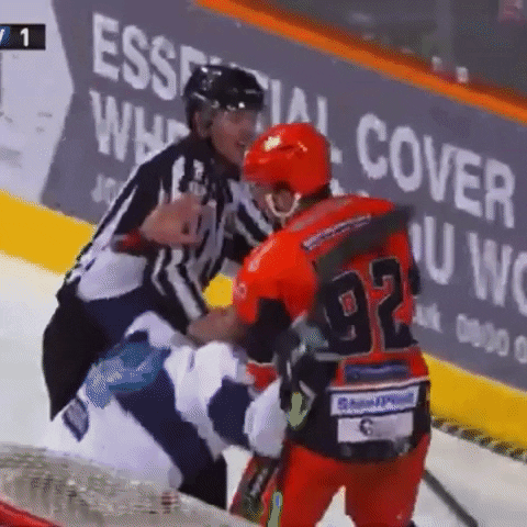 Ice Hockey Fight GIF