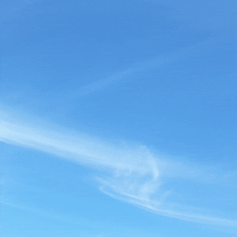 Top Ok GIF by ITA Airways