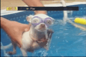 swim lesson GIF