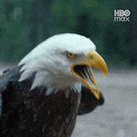 Eagle Peacemaker GIF by HBO Max