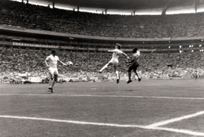 Save World Cup GIF by Eurosport France