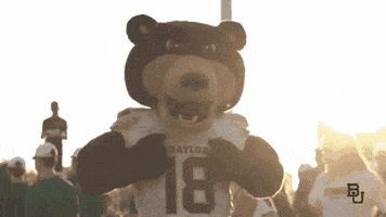 College Football GIF by Baylor University