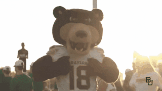 Football College GIF by Baylor University