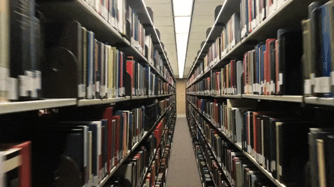 read texas am GIF by Texas A&M University