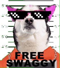 Dog Mexico Sticker by SWAGGY WOLFDOG