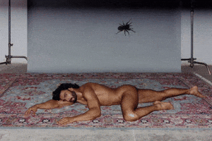 Deepika Padukone Padmaavat GIF