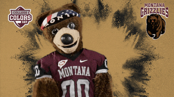 College Sports Montana GIF by College Colors Day