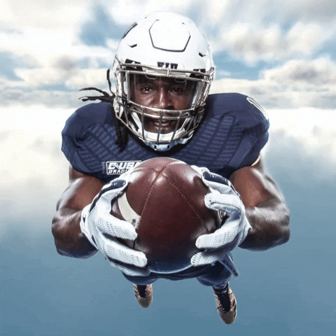 football player GIF by FIU