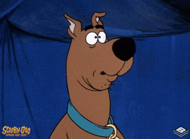 scooby doo dreaming GIF