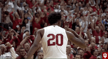 College Sports Sport GIF by Indiana Hoosiers