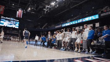 New York Basketball GIF by Hofstra University