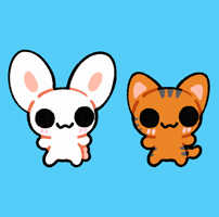 Dance Cat GIF
