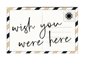 Well Traveled Sticker