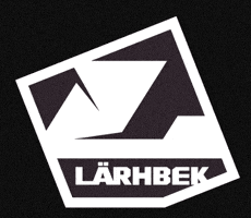 Mtb GIF by Larhbek