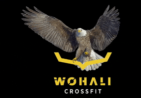 Eagle GIF by Wohali Crossfit