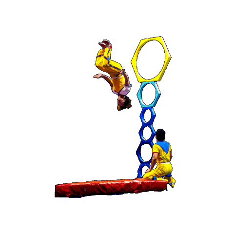 Circus Hoop Sticker by Ringling Bros. and Barnum & Bailey