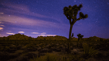 explore night sky GIF by Visit Greater Palm Springs